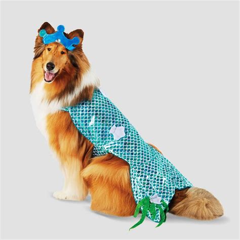 dog mermaid costume